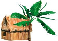 det-casa-3